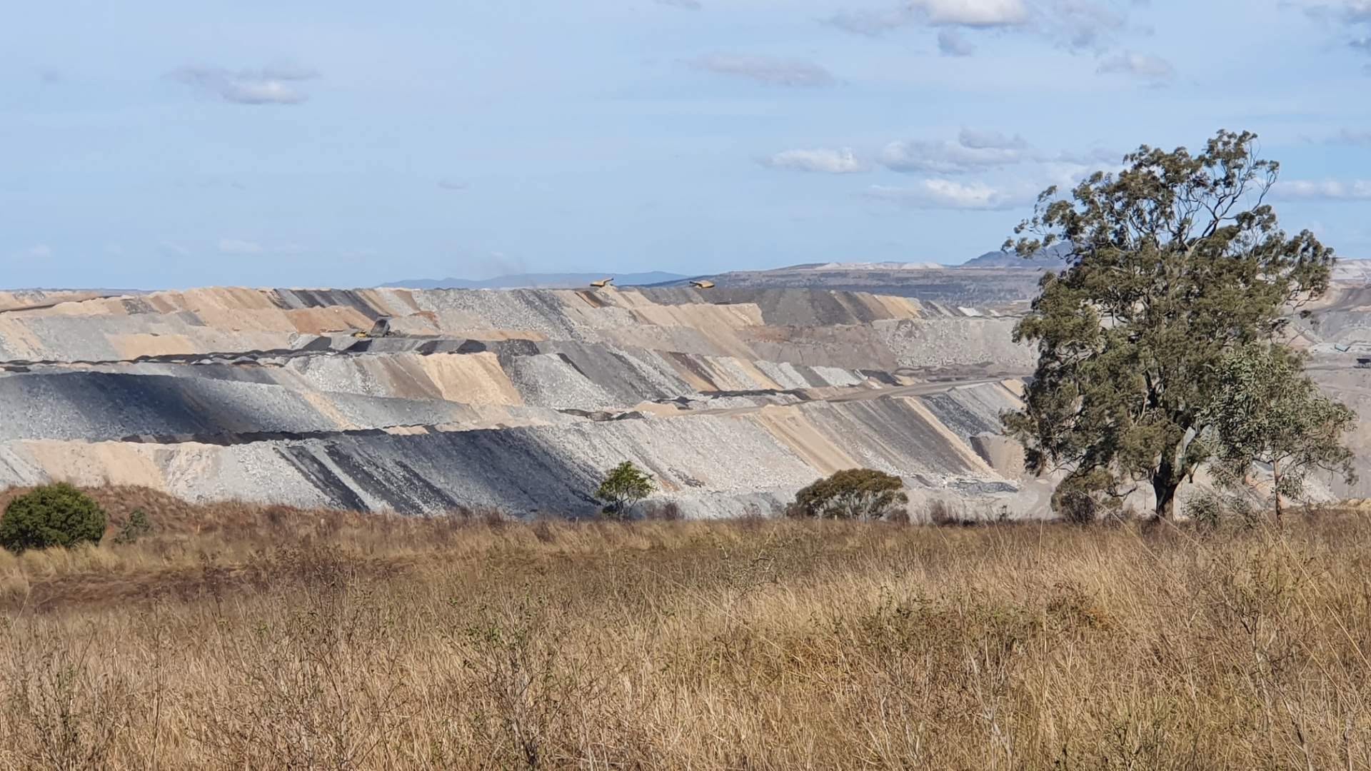 Denman Aberdeen Muswellbrook Scone Healthy Environment Group
