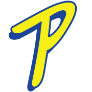 98.1 Power FM - Muswellbrook - 98.1 FM (MP3) logo